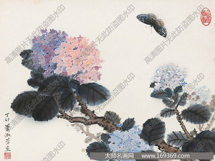 萧淑芳作品 蝴蝶绣球花 高清下载 ID:10637