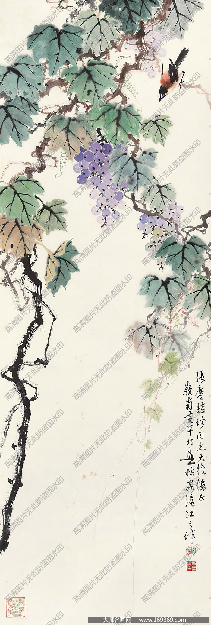 黄幻吾作品 葡萄小鸟 高清下载 ID:10928