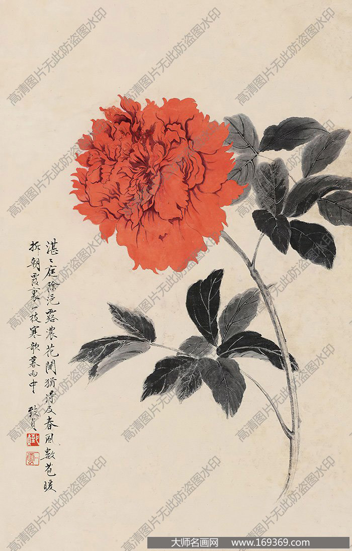 俞致贞作品 牡丹 高清下载 ID:11587