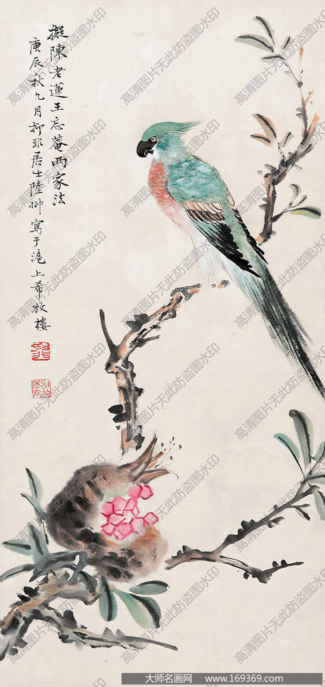 陆抑非作品 石榴鹦鹉 高清下载 ID:12347
