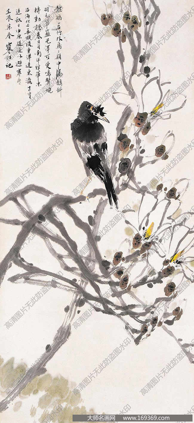 江寒汀作品 玉兰八哥 高清下载 ID:11403