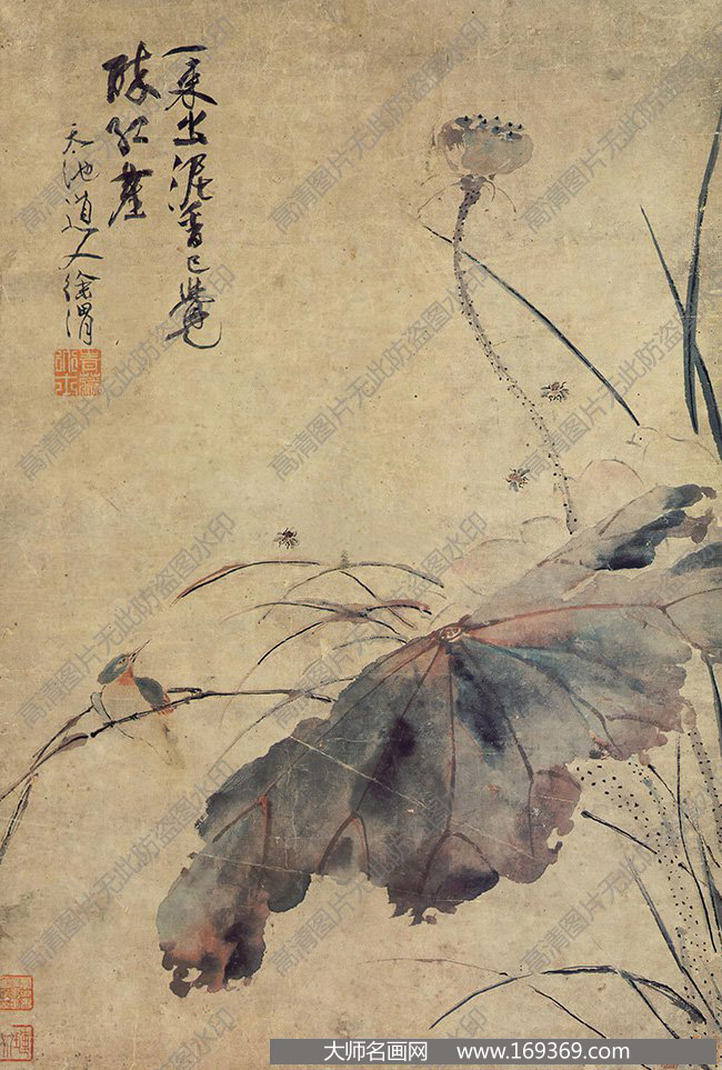 徐渭国画作品高清下载 ID：12828