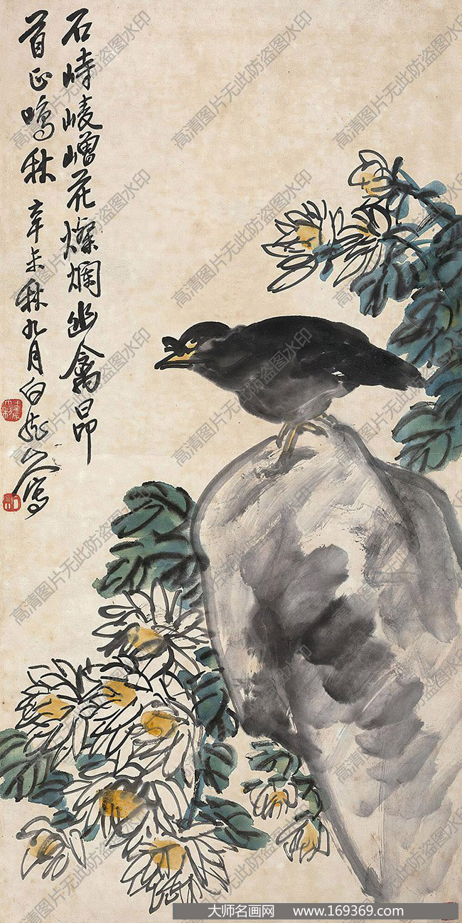 王震作品 菊花八哥 高清下载 ID:11978