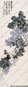 王个簃作品 葡萄 高清下载 ID：10133