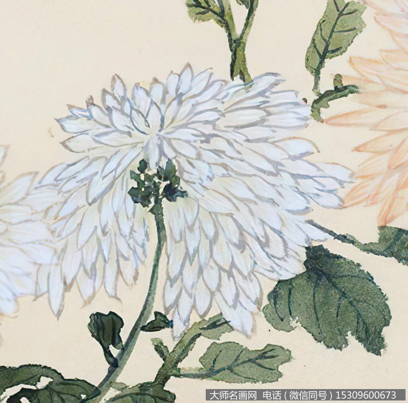 陆抑非作品 双安吉庆 高清下载 ID:12352