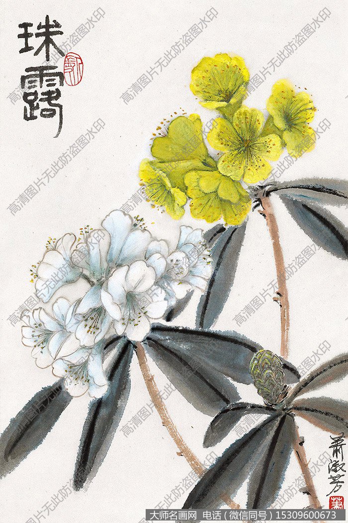 萧淑芳国画作品高清下载 ID:10679