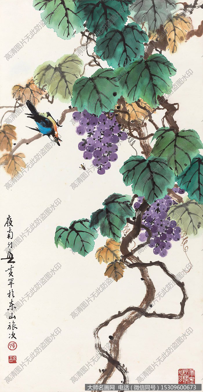 黄幻吾作品 葡萄翠鸟 高清下载 ID:10950